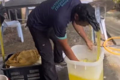 Ngakak! Ambil Minuman di Wadah, Kepala Pria Ini Ikut Nyemplung: Sambil Menyelam Minum Air