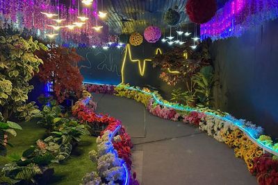 Iki Loh Nda Taman Bunga Celosia, Wisata Instagramable di Semarang Cocok Kanggo Liburan
