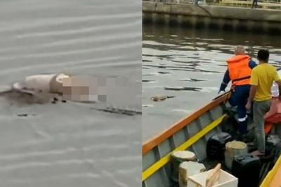Hilang 2 Hari, Jasad Balita Utuh Diantar Buaya ke Tepi Sungai, Gak Ada Bekas Gigitan