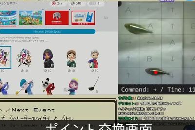 Video: Seekor Ikan Pakai Kartu Kredit Majikan untuk Beli Item Nintendo Switch, Sugoi!