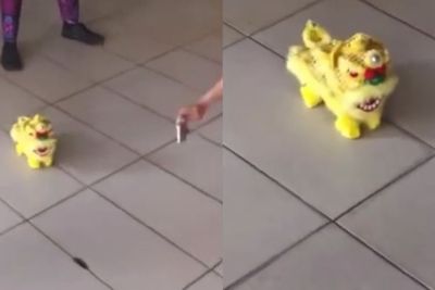 Gemas Banget! Barongsai Mini Ini Lenggak-lenggok Bak Anak Kucing