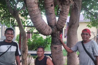 Heboh Pohon Kelapa Bercabang 4 di Kupang, Ditanam 22 Tahun Lalu tapi Gak Pernah Berbuah! 