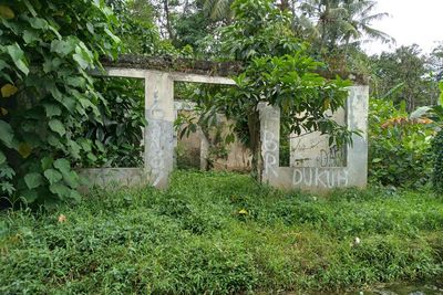Viral Bak Kampung Mati! Kampung Vietnam di Jakarta Ternyata Masih Berpenghuni, Kok Berani?