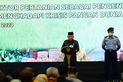 Wapres Apresiasi Kontribusi Sektor Pertanian Dalam Kendalikan Inflasi