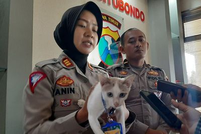 Charly, Kucing Gemas Diangkat Jadi Polisi , Tugasnya Berat Banget
