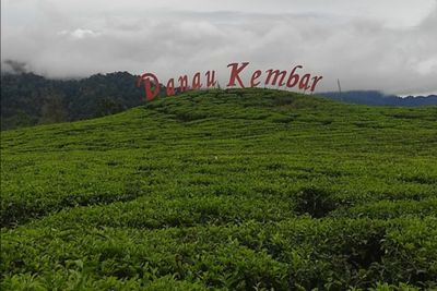 Menikmati Wisata Kebun Teh dan Danau Kembar Solok, Sudah Ada Sejak Zaman Belanda