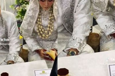 Gemes Banget! Kucing Oyen Ini Datang ke Akad Nikah Majikannya Bak Saksi Pernikahan