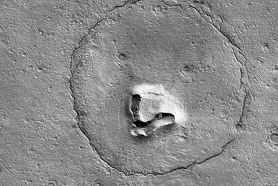 Muncul Penampakan Beruang di Planet Mars, Berikut Penjelasan dari NASA!