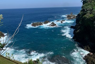 Seru! Wisata ke Bukit Pengilon Yogyakarta, Bakal Disambut Kapuk Anabul Kesayangan Warga