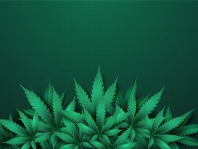 Asik Hisap Ganja di Dalam Kapal yang Berlayar di Papua, Pria Ini Diciduk Polisi