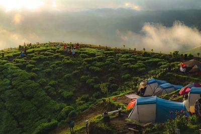 7 Tempat Wisata Terbaik di Pangalengan Bandung, Vibesnya Bikin Candu Cocok Buat Healing!