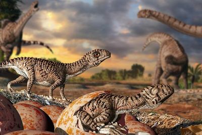 Penemuan Ratusan Telur Dinosaurus Berusia 193 Juta Tahun, Banyak Embrio yang Masih Utuh!