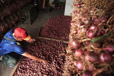 Usut Dugaan Korupsi Benih Bawang Merah di NTT, KPK Sudah Periksa 35 Saksi