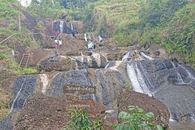 Indahnya Air Terjun Kedung Kandang, Lokasinya Nyasar di Tengah Persawahan Yogya