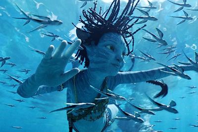 Avatar: The Way of Water Akhirnya Keluar dari Box Office, Digeser Knock at the Cabin
