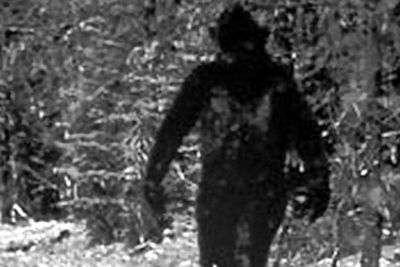 Sering Jadi Perdebatan, Ilmuwan Sebut Bigfoot Cuma Makhluk Mitos