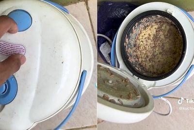 Rice Cooker Ini Jadi Sarang Belatung Usai Ditinggal Hampir 2 Bulan, Jijik Nempel di Panci