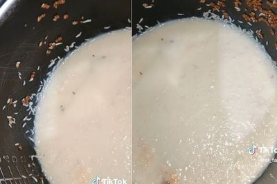 Jijik! Rice Cooker Ini Jadi Tempat Budidaya Ulat Usai Ditinggal 2 Bulan, Fix Beli Baru
