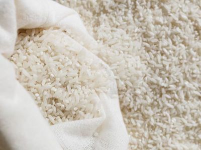 Catat! Beginilah Cara Menyimpan Beras dan Nasi Putih yang Benar, agar Kualitasnya Tetap Terjaga