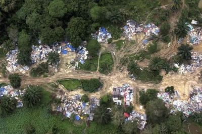 Kampung Ilegal WNI di Tengah Hutan Malaysia, 67 Orang Ditahan Termasuk Bayi 2 Bulan