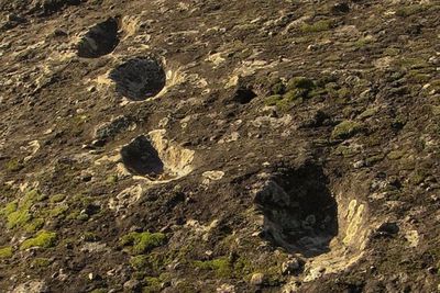 Misteri Temuan Jejak Kaki Iblis Berusia 385.000 Tahun, Tercetak di atas Lava Gunung Api