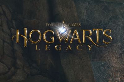Terima Keluhan Gamer yang Phobia, Mod Hogwarts Legacy Ganti Laba-laba Jadi Kubus