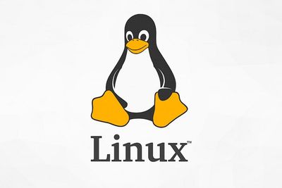 Kamu Harus Tahu! Beberapa Linux Ini Asli Kembangan Indonesia Lho