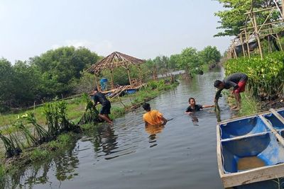 Ekowisata Mangrove Mulyo Asri, Belajar Konservasi Alam Sambil Rekreasi di Pekalongan