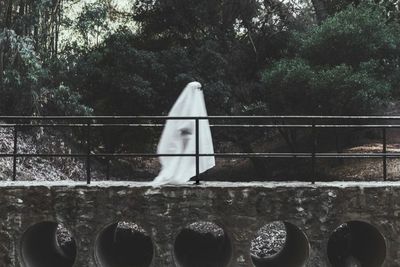 Asal Muasal Kuntilanak Dijelaskan Secara Ilmiah, Penelitinya dari Jerman