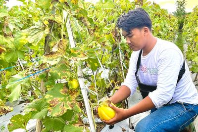 Melon Artodung Farm Pamekasan, Wisata Petik Buah Langsung dari Pohonnya di Madura