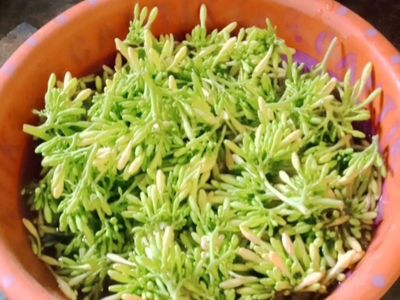 3 Olahan Sayur Bunga Pepaya, Banyak Cara Membuatnya!