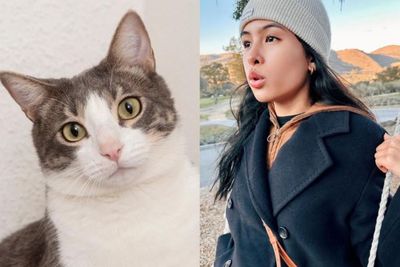Trauma dengan Anjing, Maudy Ayunda Malah Ikutan Takut Kucing, Kenapa?