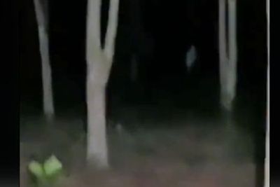 Video Penampakan Pocong Real Terekam di Hutan, Merinding Sedetik Langsung Hilang