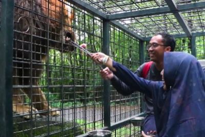 Sempat Ogah Salaman, Febrian Sekeluarga Kini Berdamai dengan Singa yang Tabrak Mobilnya