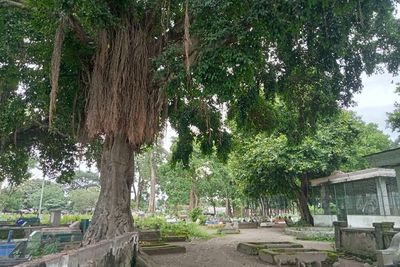 Cerita Mistis Makam Desa Ngujang Tulungagung, Misteri Keberadaan Kera Gaib Bikin Merinding