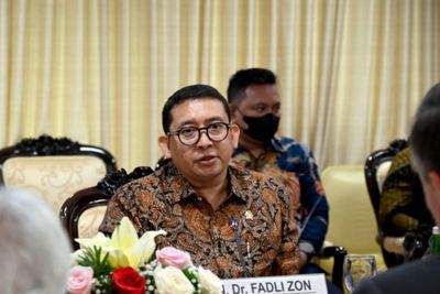 Terima Delegasi Parlemen Uni Eropa, DPR Bahas Terkait Pembatasan Kelapa Sawit