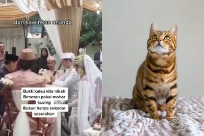 Viral Pasangan Nikah dengan Mahar Kucing, Bagaimana Hukumnya dalam Islam?