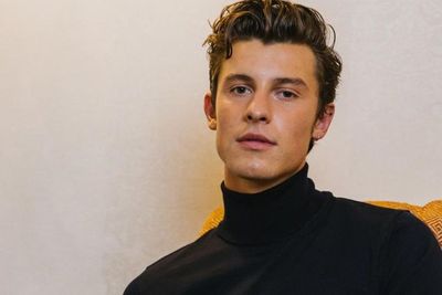 Shawn Mendes Akui Tuduhan Gay Ganggu Kesehatan Mentalnya, Bikin Frustrasi