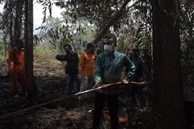 Masih Banyak Hutan Dibakar, DPRD Pontianak Minta Tindak Tegas Pelaku Karhutla