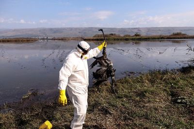 Waspada Flu Burung Clade Baru Gejala Mirip Influenza, Kemenkes Ungkap Bedanya