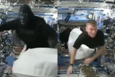 Potret Astronot Cosplay Jadi Gorila, Temannya Ngibrit Ketakutan: Jadi Prank ISS Terbaik!