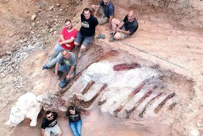 Kebetulan Luar Biasa, Pria Ini Gak Sengaja Temukan Fosil Dinosaurus di Halaman Rumahnya