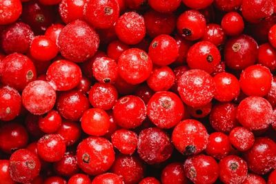 4 Khasiat Buah Cranberry untuk Kecantikan, Salah Satunya Cegah Penuaan