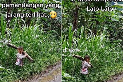 Momen Bocah Kuat Banget Manggul Kayu Enggak Pake Sendal, Dibikin Kuat oleh Keadaan