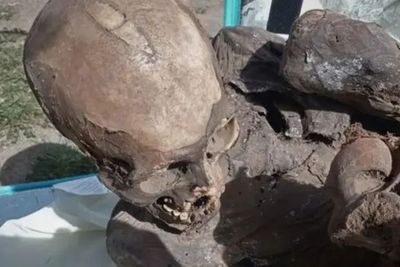Aneh tapi Nyata! Kurir di Peru Pacari Mumi Berusia 800 Tahun, Tinggal Bareng 3 Dekade