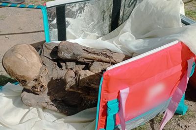 Pria di Peru Tidur dengan Mumi Berusia 800 Tahun, Sudah Dianggap Pacar Sendiri