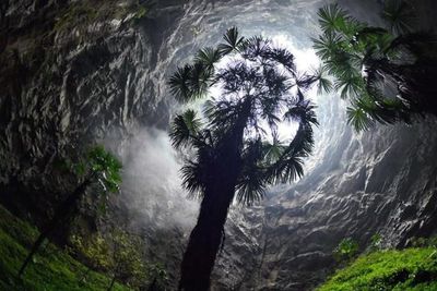 Heboh Penemuan Lubang Raksasa di China, Ternyata Isinya Hutan Purba Super Cantik!