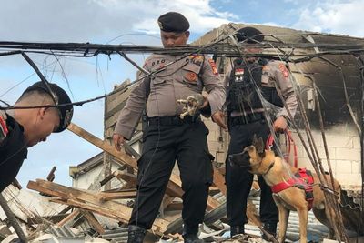 Anjing Pelacak Dikerahkan, Cari Korban Kebakaran Depo Plumpang
