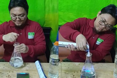 Cara Membuat Cairan Efek Daun Talas, Bisa Bikin Tas hingga Sepatu Tahan Air