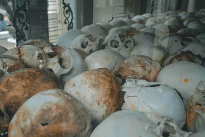 Killing Fields Kamboja: Saksi Bisu Kekejaman Genosida dan Trauma yang Abadi